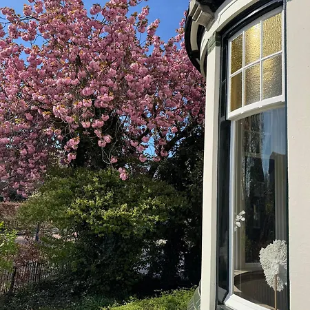 B&B Villa Frisia-3